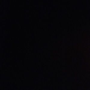 Meet your Posher, Trevor