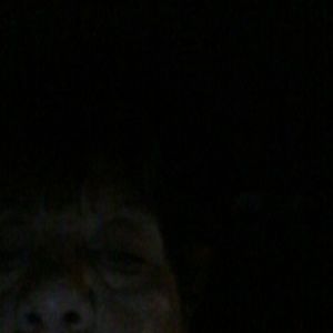 Meet your Posher, Mimi