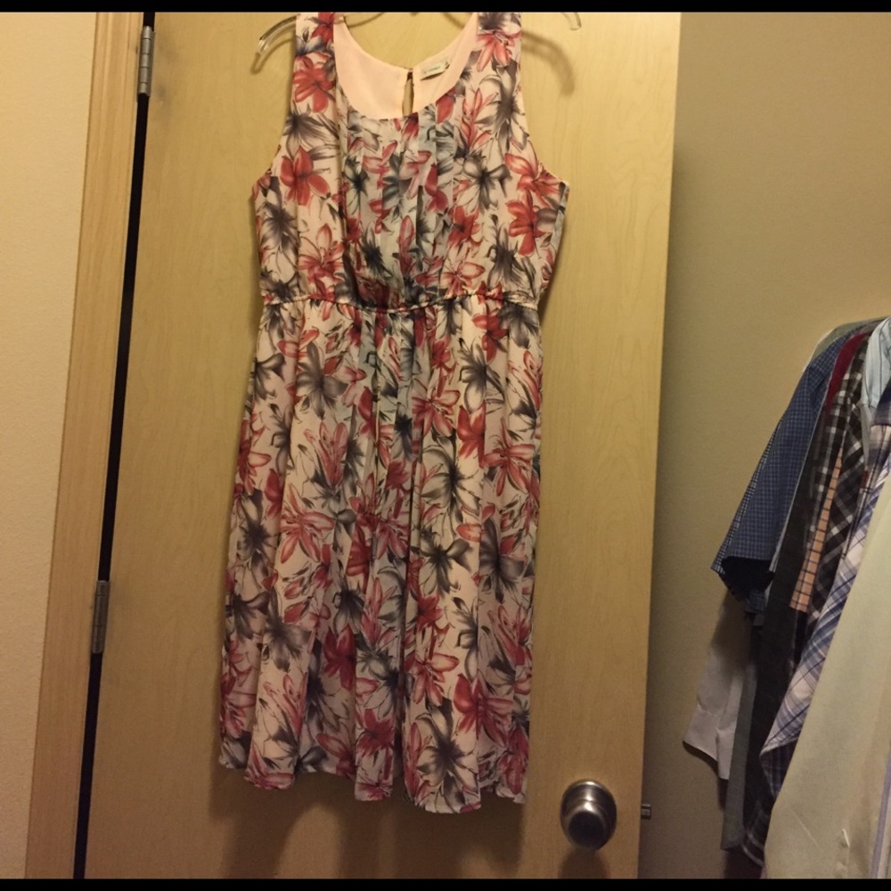 Smoke free home pet free dress