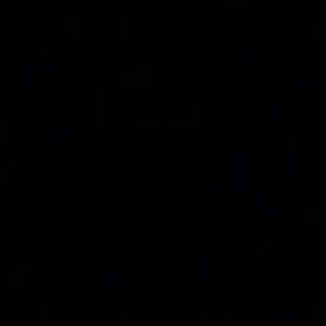 Meet your Posher, Angelyse