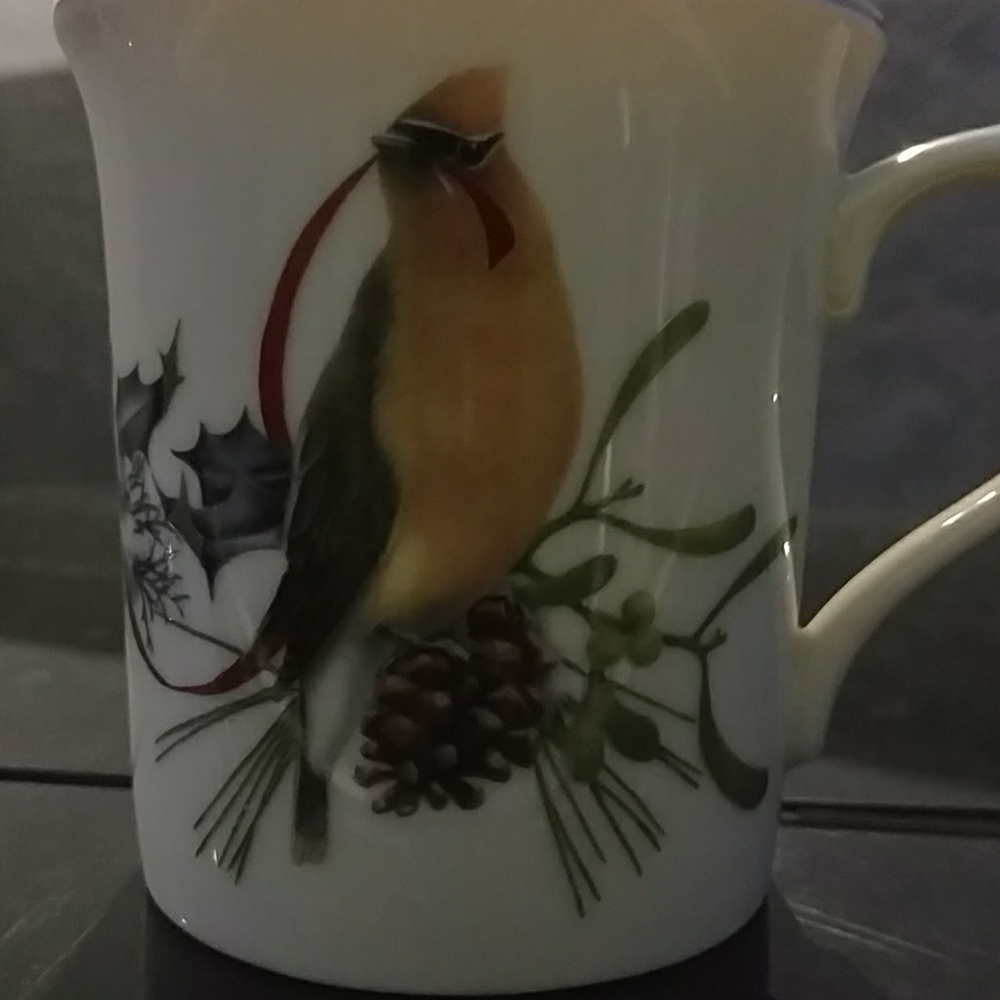 Meet your Posher, Carol