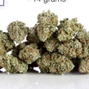 Meet your Posher, Abel