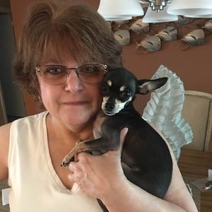 Meet your Posher, Debbie