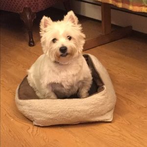 Meet your Posher, Audrey