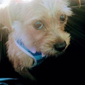 Meet your Posher, Beth