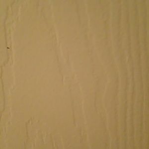 Meet your Posher, Lynnette