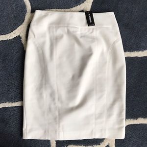 Express skirt