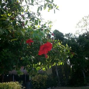 Meet your Posher, Deana