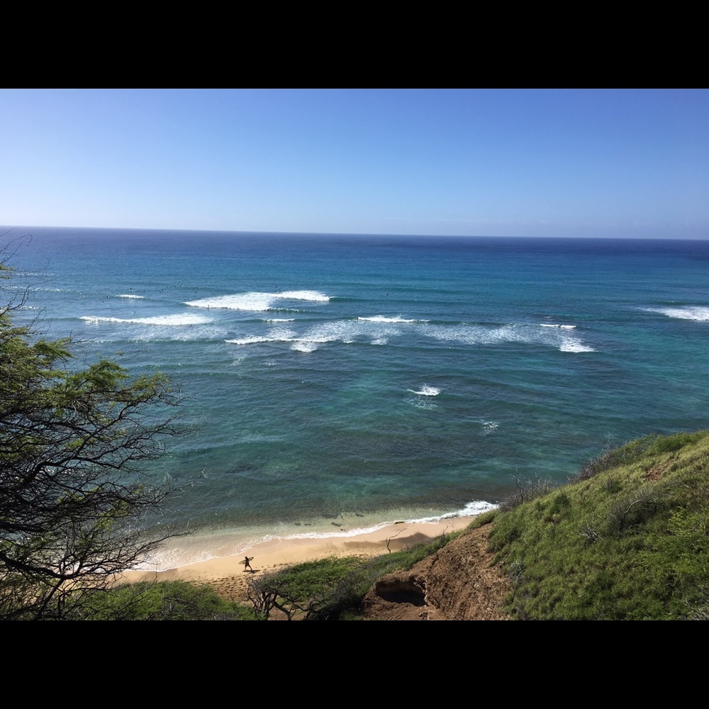 Meet your Posher, Noelle