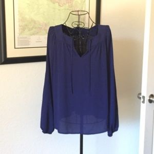 Express Sheer Blue Blouse.