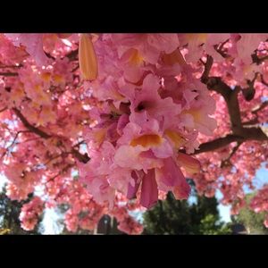 Meet your Posher, Connor