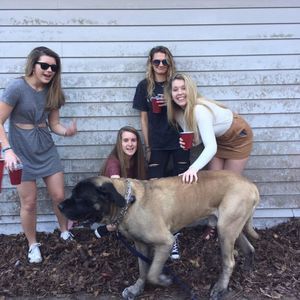 Meet your Posher, Erica