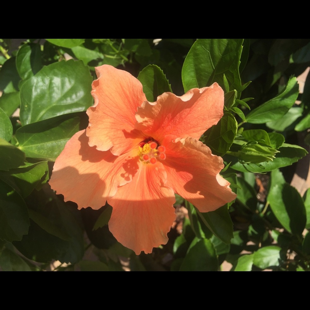 Meet your Posher, Karin