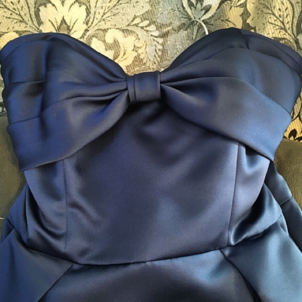 NWT Gorgeous Badgley Mischka dress