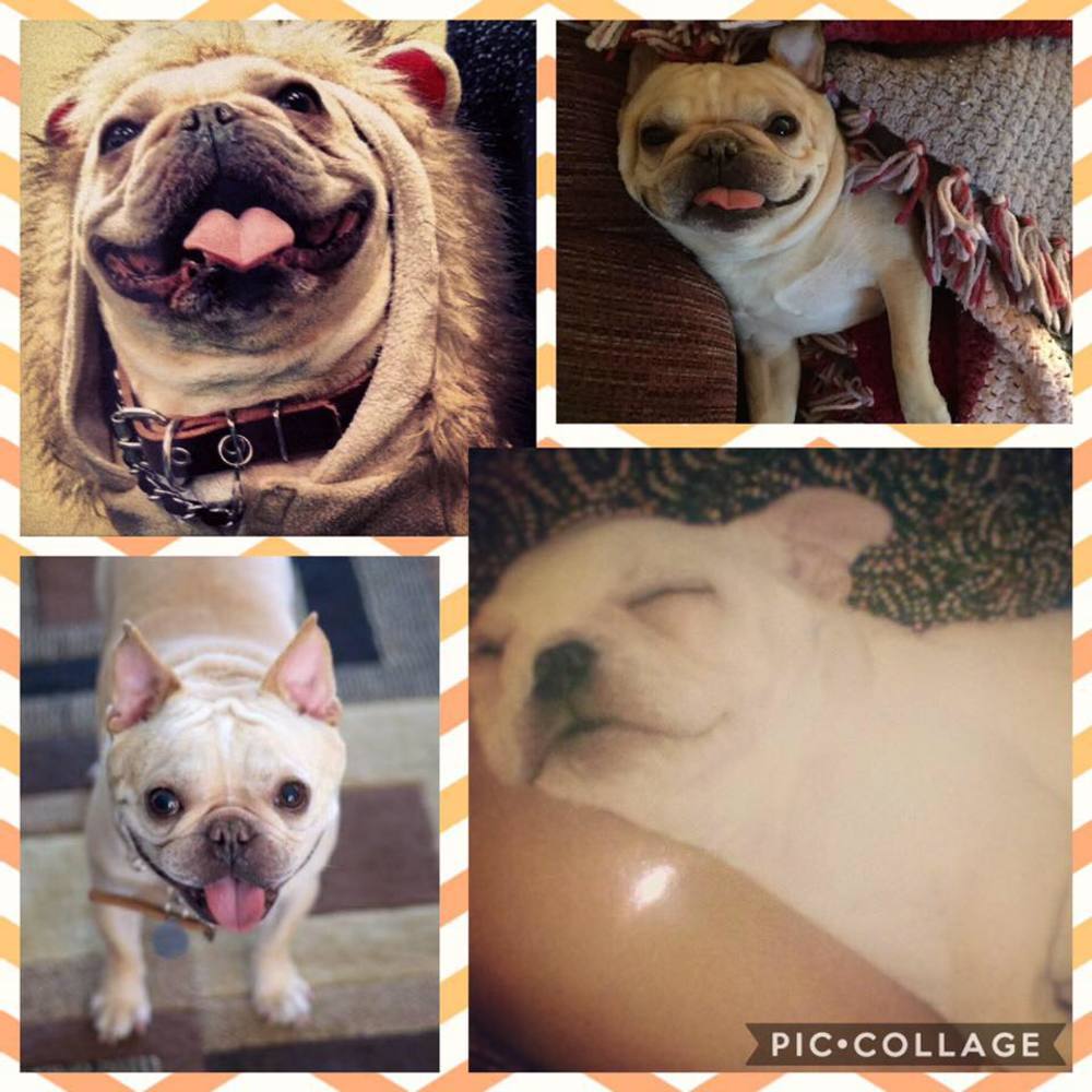 Meet your Posher, Kathy