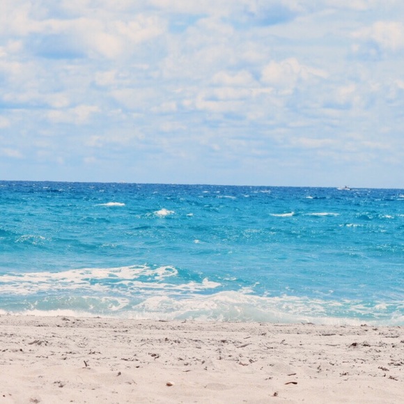 Meet your Posher, Spencer - Picture 2 of 6