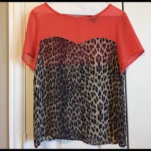 Leopard Print Sheer Top