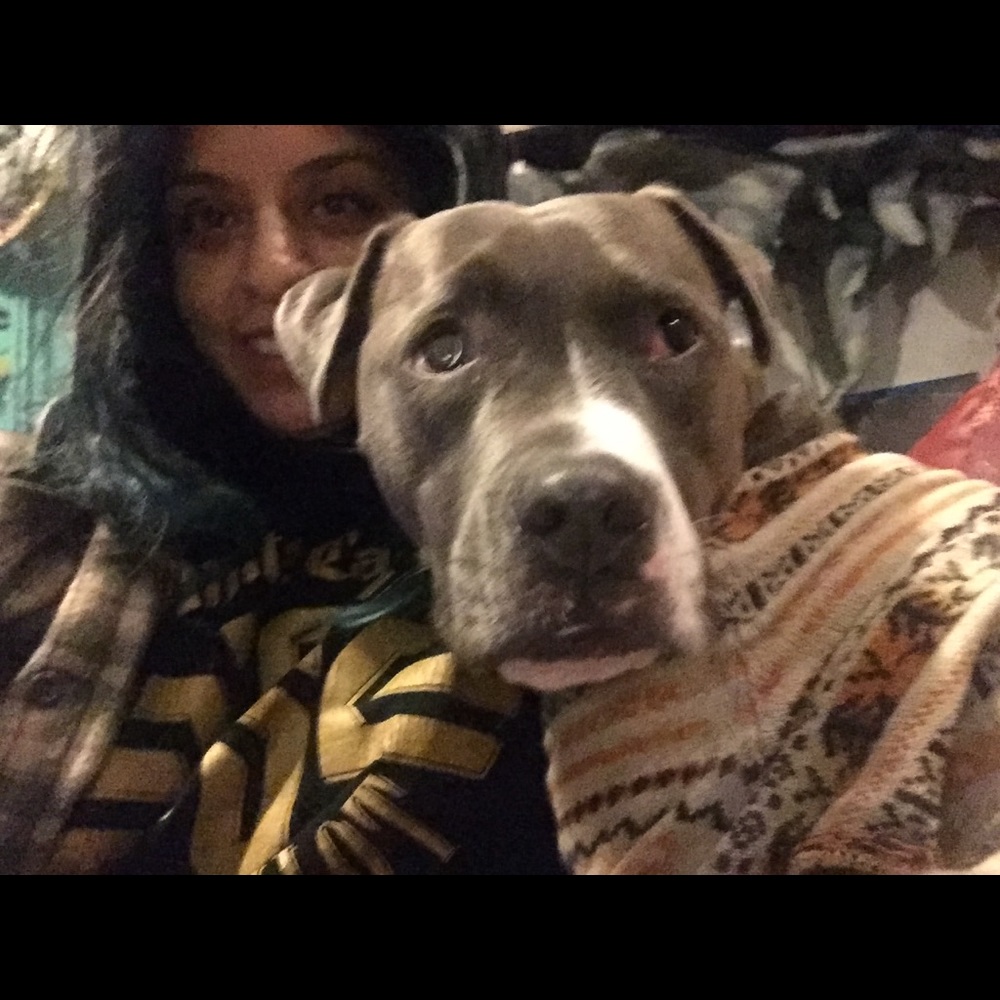 Meet your Posher, Lile