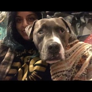 Meet your Posher, Lile