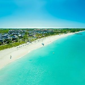 Meet your Posher, Dolce