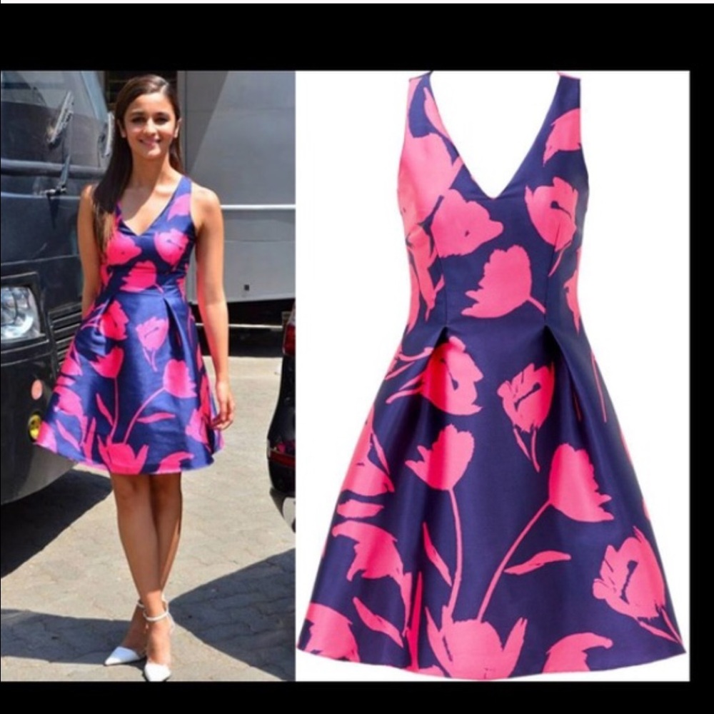 Sachin & Babi Dress