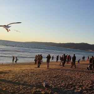 Meet your Posher, Maggie