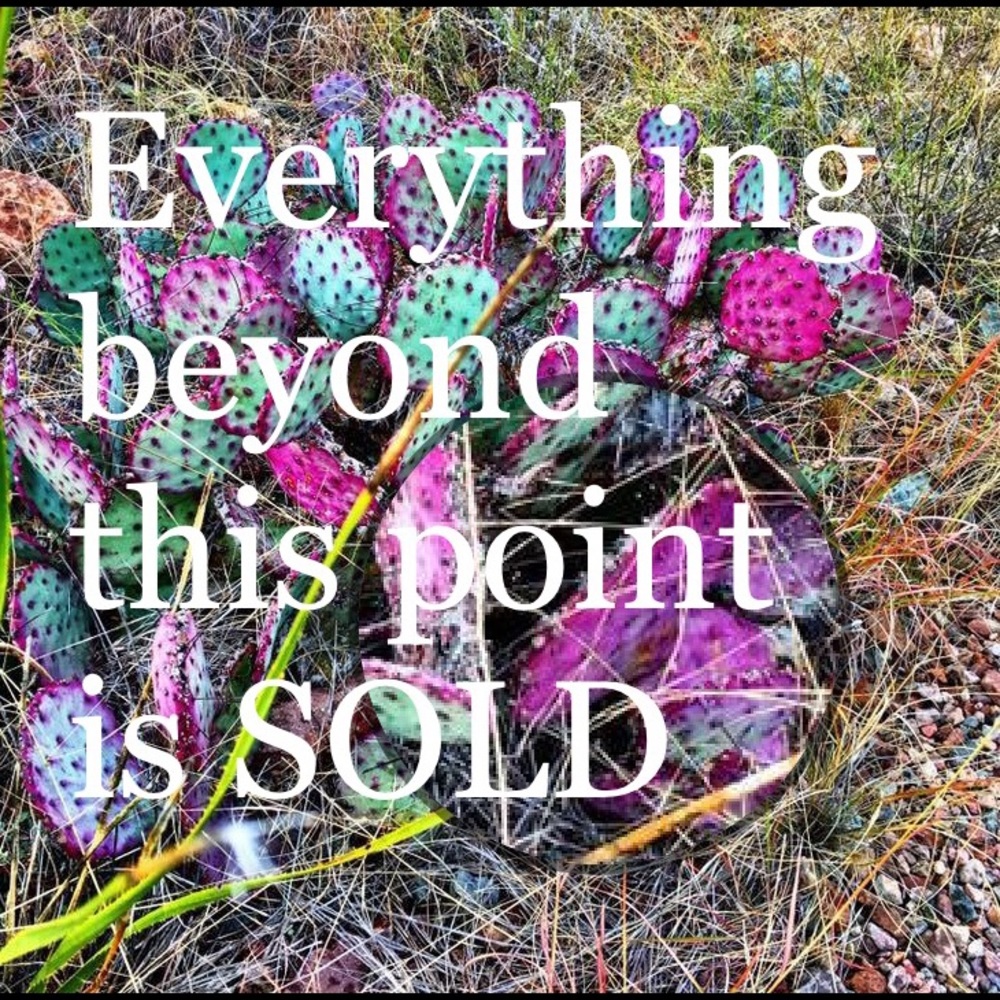 Everything beyond this point is SOLD 🌵