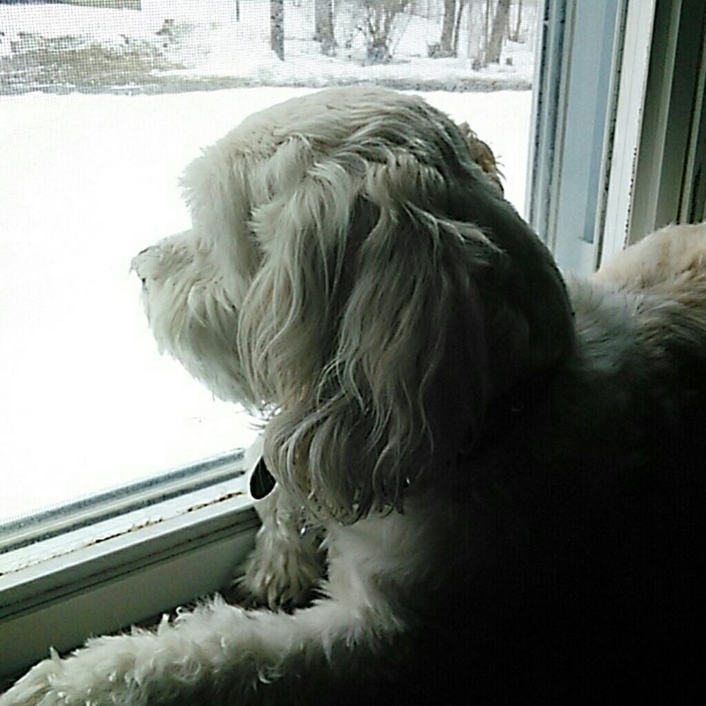 Meet your Posher, Trudy