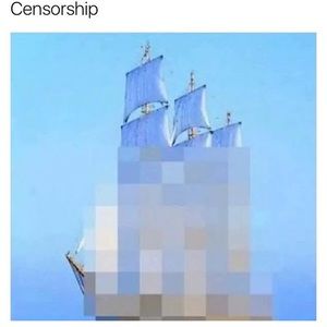 Meet your Posher, Devin