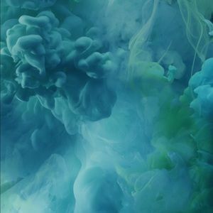 Meet your Posher, Royal