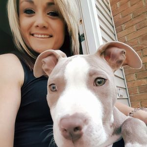 Meet your Posher, Morgan