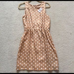 J Crew polka dot dress