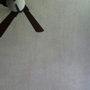 Meet your Posher, Shelby