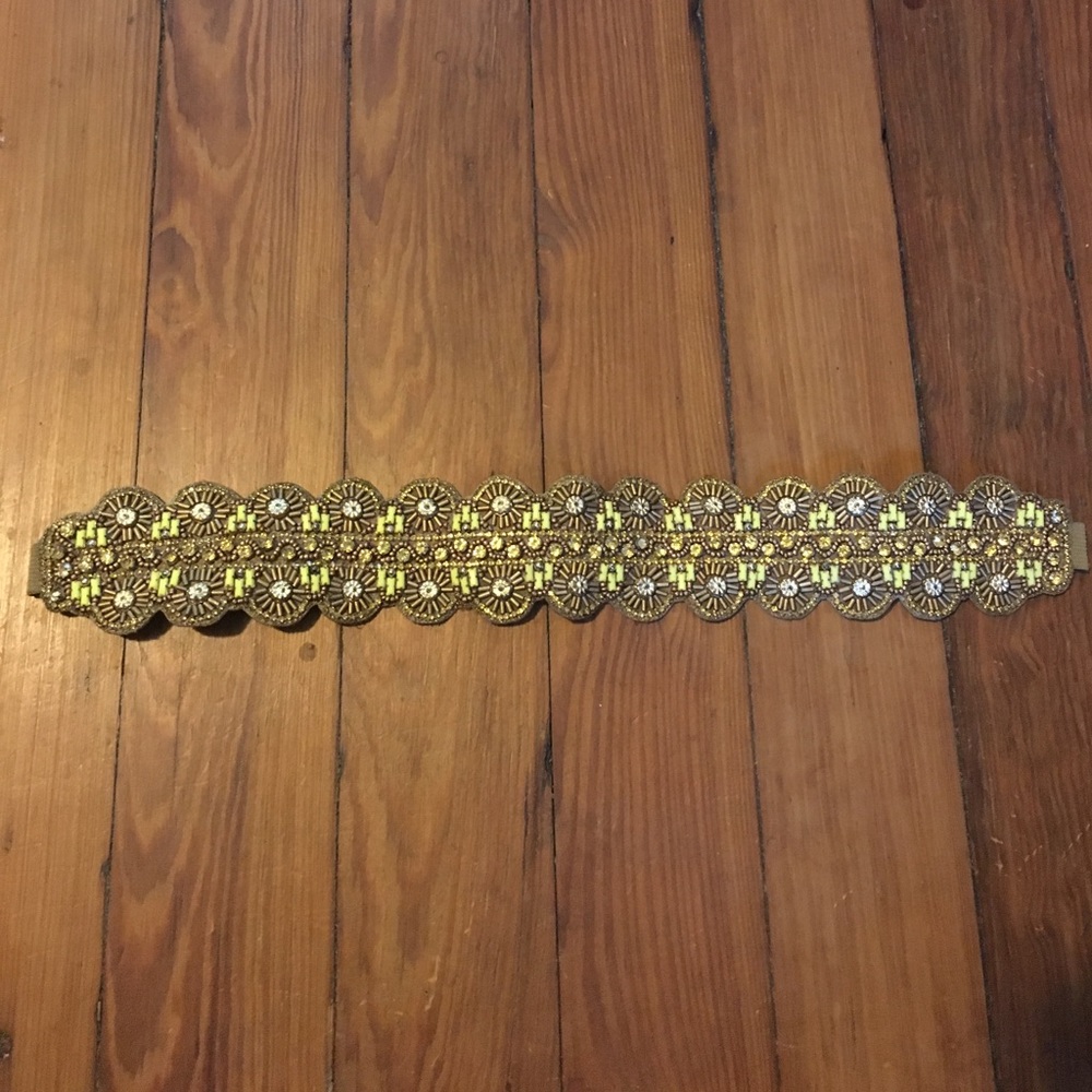 Anthropologie belt