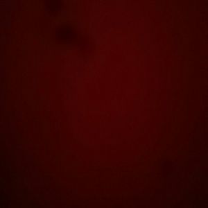 Meet your Posher, Blake