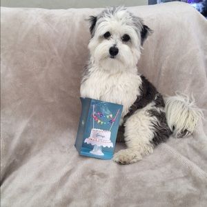 Meet your Posher, Janaya