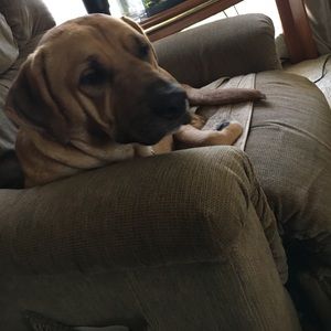 Meet your Posher, Chris