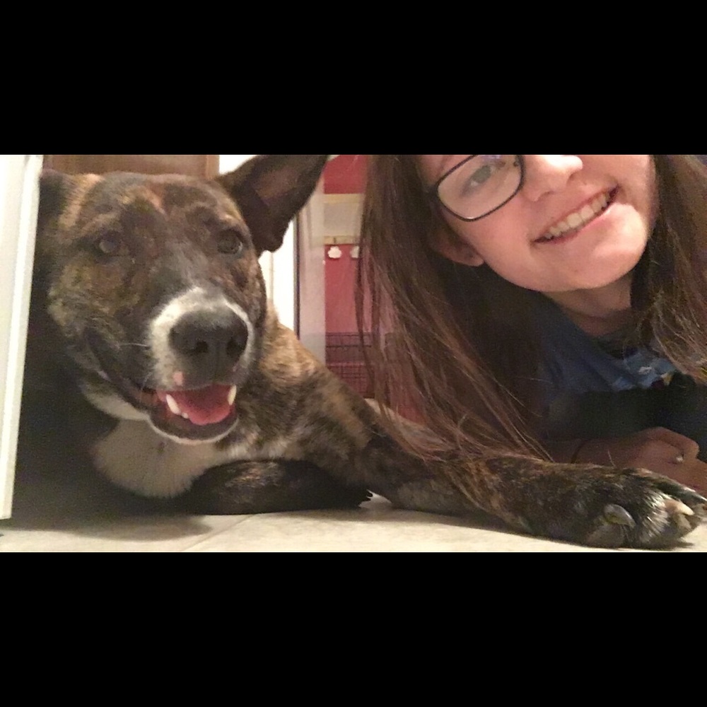 Meet your Posher, Emma