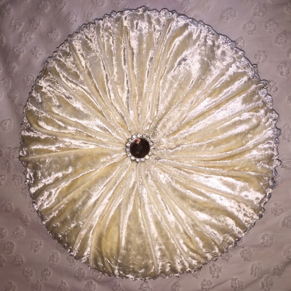 Pier 1 Velvet Throw Pillow