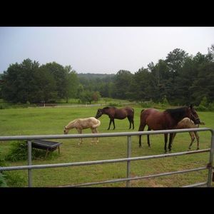 Meet your Posher, Jacob