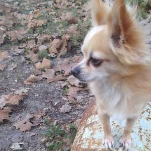 Meet your Posher, Lori