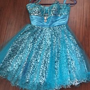 Blue animal print short dress.