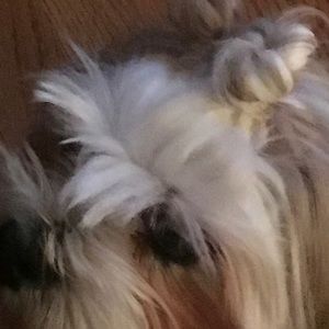 Meet your Posher, Angela