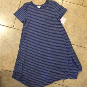NWT medium lularoe Carly navy striped