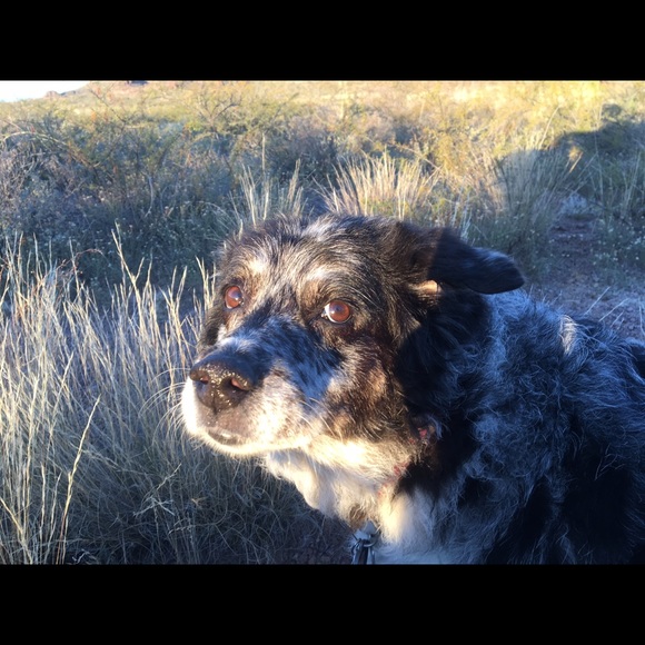 Meet your Posher, Ginna - Picture 2 of 12