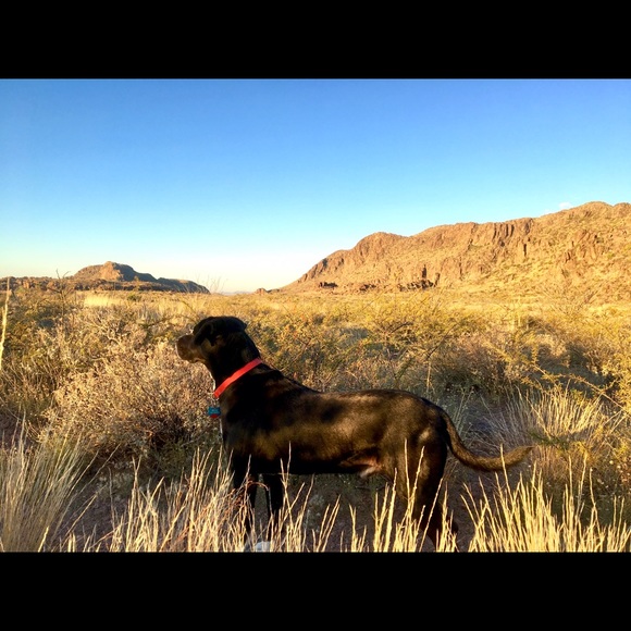 Meet your Posher, Ginna - Picture 3 of 12