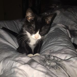 Meet your Posher, Crystal