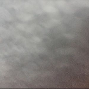 Meet your Posher, Sally