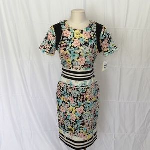 NWT Floral and Striped Dress