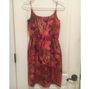 J. Crew Dress